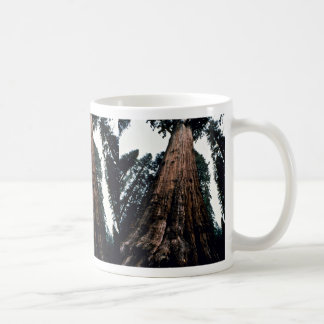 Mug Arbres géants - parc national de séquoia