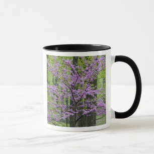 Mug Arbres rouges en pleine floraison printanière pr