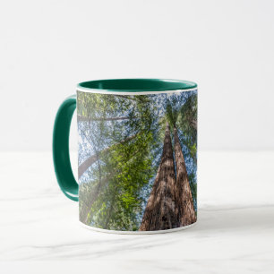 Mug Arbres séquoias   Comté de Marin, Californie