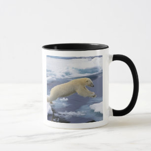 Mug Arctique, Svalbard, Ours polaire s'étendant