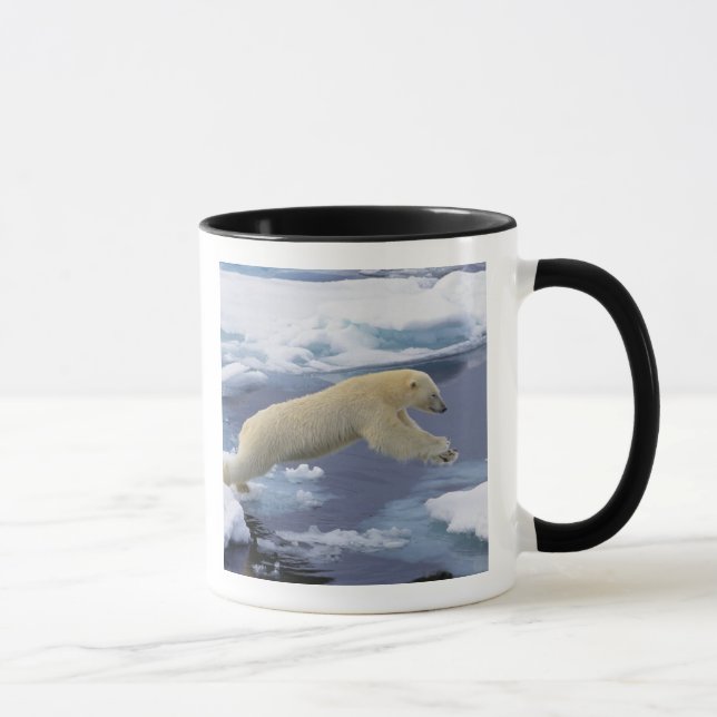 Mug Arctique, Svalbard, Ours polaire s'étendant (Droite)
