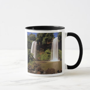 Mug Argentine, Igwazu, chutes d'Igwazu. Salto Dos