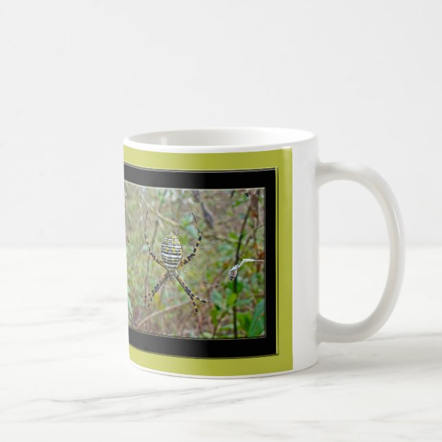 Mug Argiope trifasciata Orb Weaver Spider (Droite)