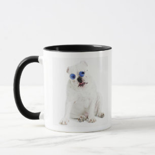 Mug arrière - plan blanc, bouledogue blanc, bleu