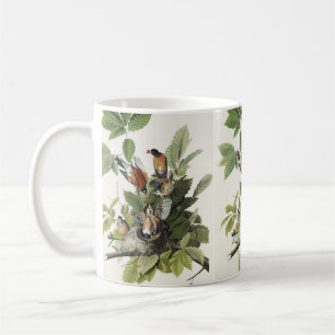 Mug Art ancien nid d'oiseau Merle d'Amérique d'Audubon
