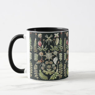 Mug Art de la nature scientifique Ernst Haeckel Hépati