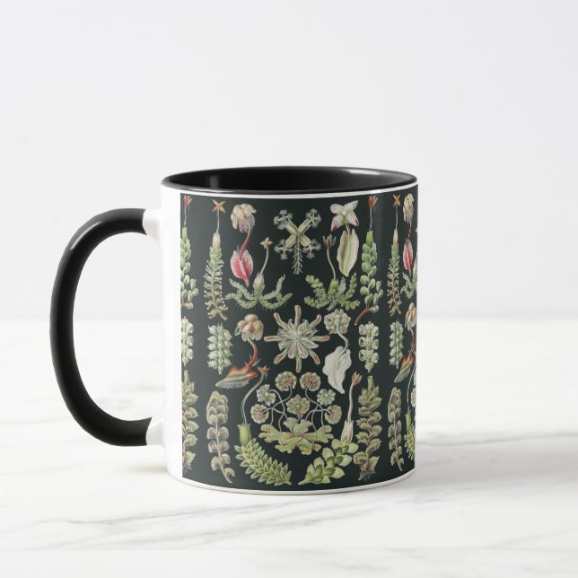 Mug Art de la nature scientifique Ernst Haeckel Hépati (Gauche)