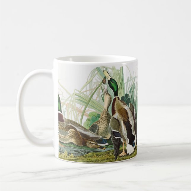 Mug Art Vintage Audubon Canard colvert Faune (Gauche)