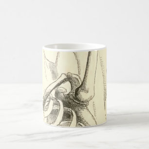 Mug Articulation de l'épaule vintage de l'anatomie