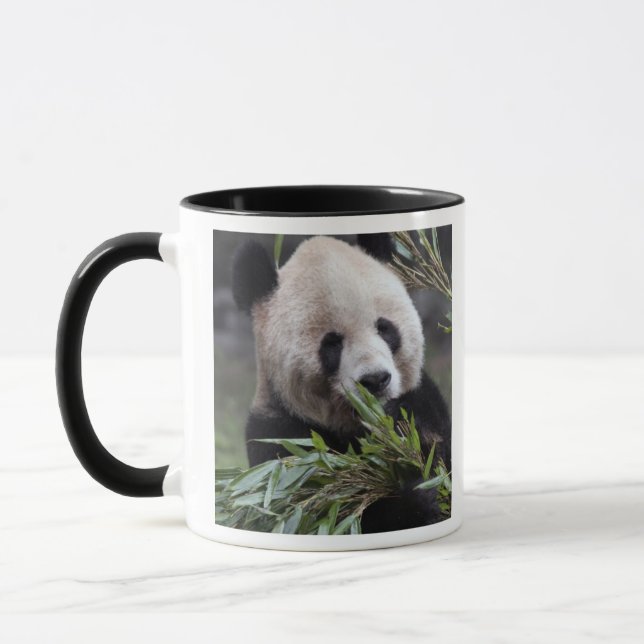 Mug Asie, Chine Chongqing. Panda géant (Gauche)