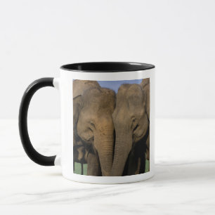 Mug Asie, Inde, Parc national de Nargahole. Indien
