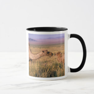 Mug Asie, Mongolie, désert de Gobi, Grand Gobi