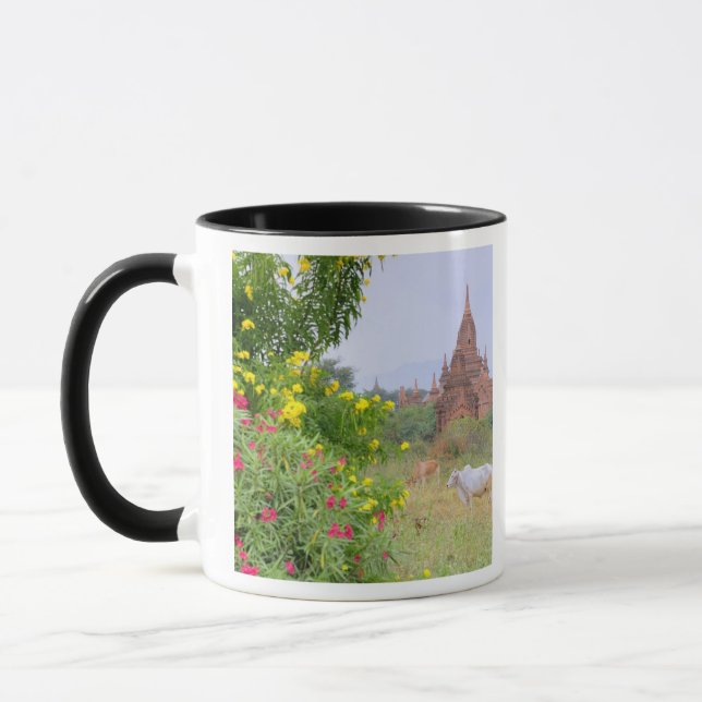 Mug Asie, Myanmar (Birmanie), Bagan (Pagan). Vaches (Gauche)