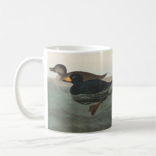 Mug Audubon American Scoter Duck Classic