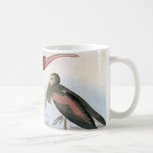 Mug Audubon : Écarlate IBIS (Droite)