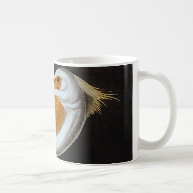 Mug Audubon : Grand pélican blanc (Droite)
