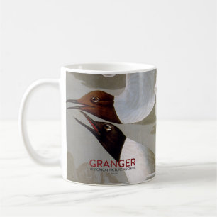 Mug Audubon : La mouette de Bonaparte