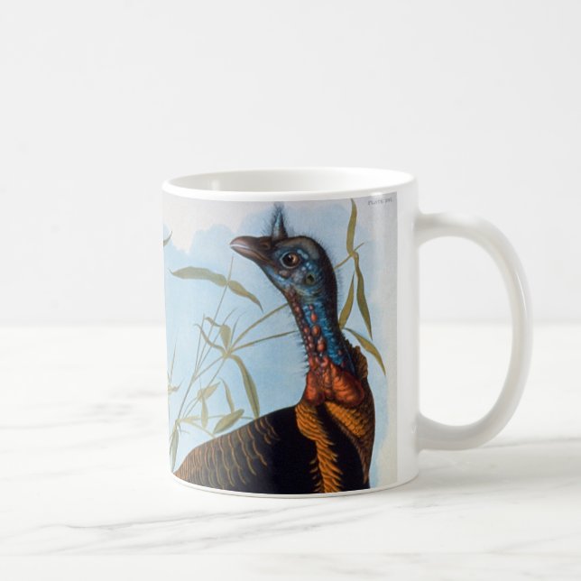 Mug Audubon : La Turquie sauvage (Droite)