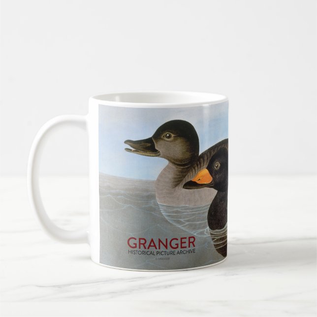 Mug Audubon : Macreuse noire (Gauche)