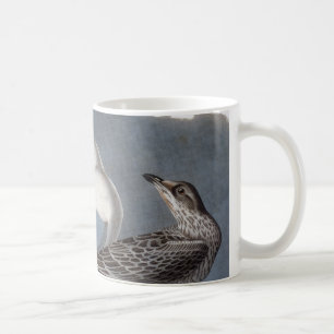 Mug Audubon : Mouette Anneau-Affichée