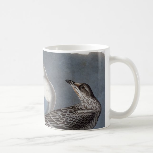 Mug Audubon : Mouette Anneau-Affichée (Droite)