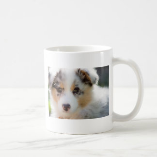 Mug Australian shepherd puppy