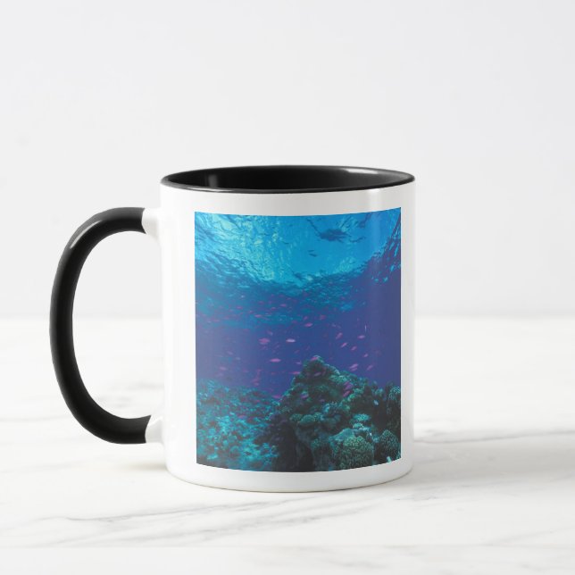 Mug Australie, Grande Barrière de corail. Fourmillant  (Gauche)