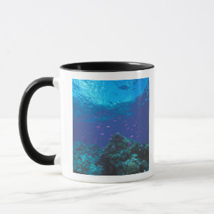 Mug Australie, Grande Barrière de Corail. Violet Swiss
