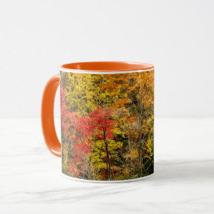 Mug Automne à Sims Pond North Carolina, Blue Ridge