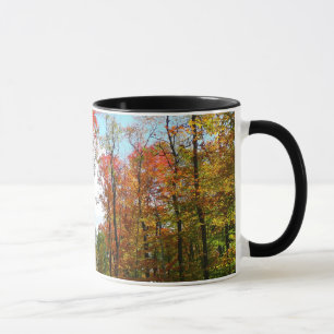 Mug Automnes Arbres et Ciel bleu Automne Photographie 