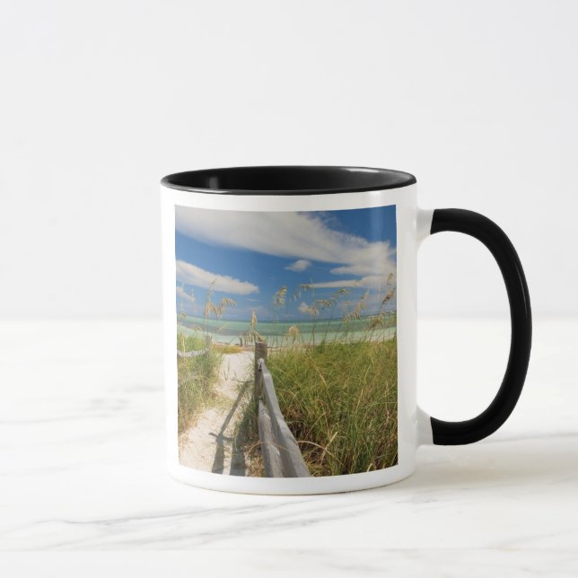 Mug Avoine de mer Uniola paniculata) poussant près de  (Droite)