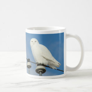 Mug B50 Harfang des neiges
