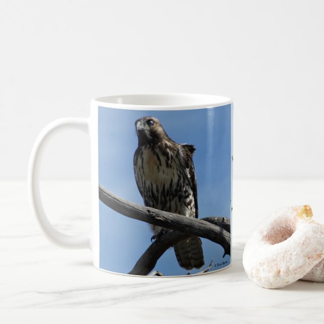 Mug B54 Buse de Swainson (Avec donut)