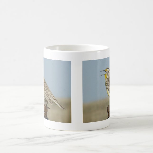 Mug B6 Ouest Meadowlark (Centre)
