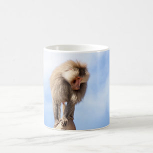 Mug Babouin majestueux sur un sommet de montagne