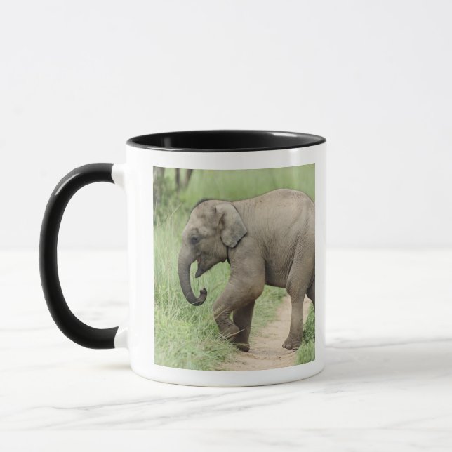 Mug Baby Elephant suivant la mère, Corbett (Gauche)