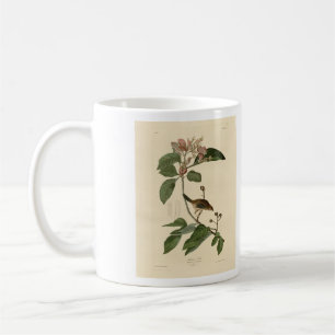 Mug Bachman's Finch (Sparrow) Audubon Birds of America