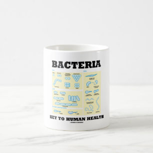 Mug Bacteria