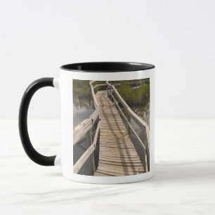 Mug BAHAMAS, île de Grand Bahama, côté est :