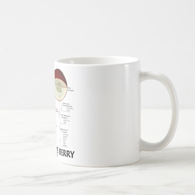 Mug Baie de raisin de cuve (anatomie) (Droite)