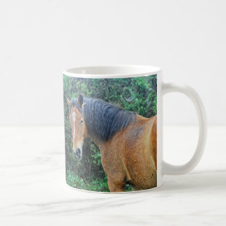 Mug Baie New Forest Pony of Hampshire, Angleterre