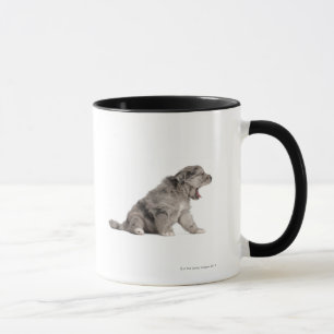 Mug Baîllement pyrénéen de chiot de berger (4