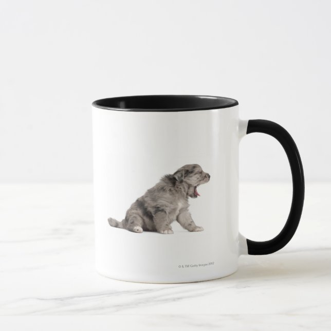 Mug Baîllement pyrénéen de chiot de berger (4 (Droite)