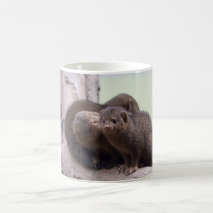 Mug Baiser nain de mangouste