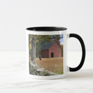 Mug Balançoire en pneu le long d'une route dans le sud
