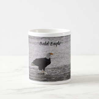 Mug Bald Eagle sur Saumon
