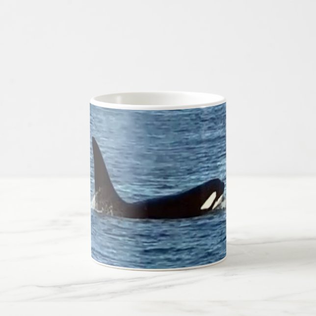 Mug Baleine tueuse de la côte ouest "Aquarius" Orca Mu (Centre)