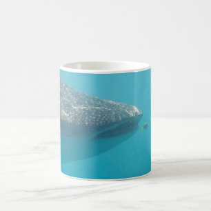 Mug Baleines menacées