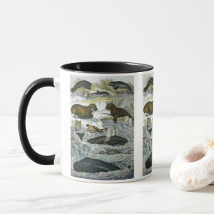 Mug Baleines, phoques et morses, animaux marins vintag