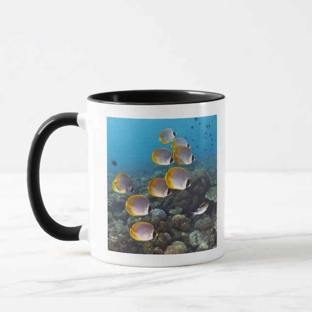 Mug Bali, Indonésie (Gauche)